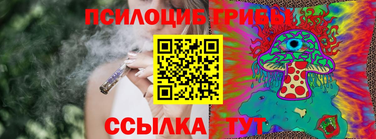 Псилоцибиновые грибы Psilocybine cubensis  Вход с VPN  Борзя  цена   Псилоцибиновые грибы Psilocybine cubensis 